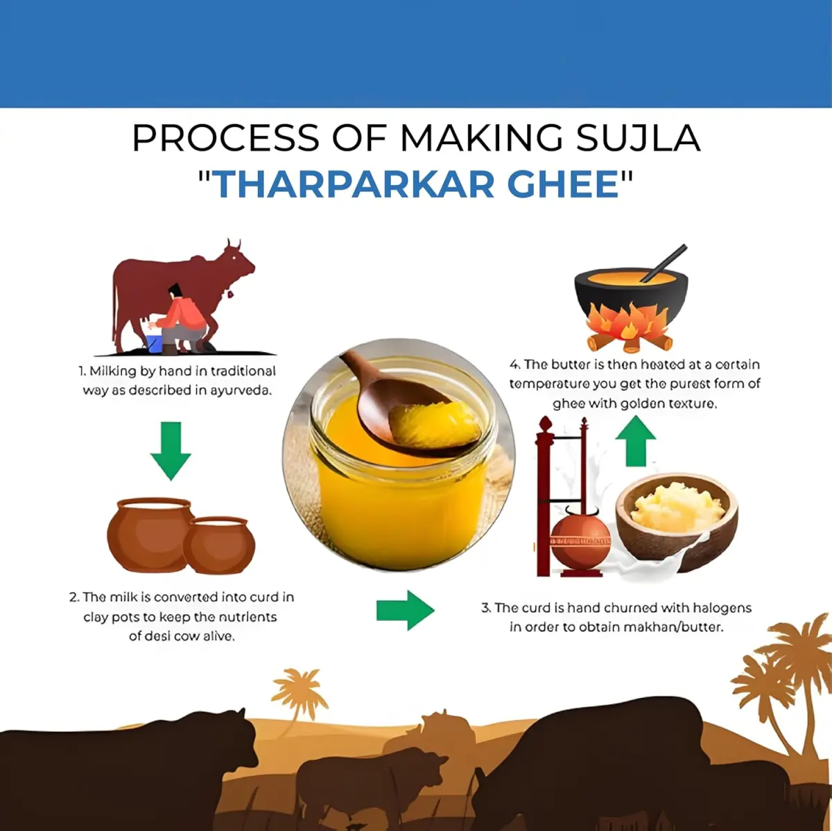 Sujla A2 Desi Tharparkar Cow Ghee | Pure Desi Ghee | Vedic Bilona Method (1000 ml) Brand: Sujla